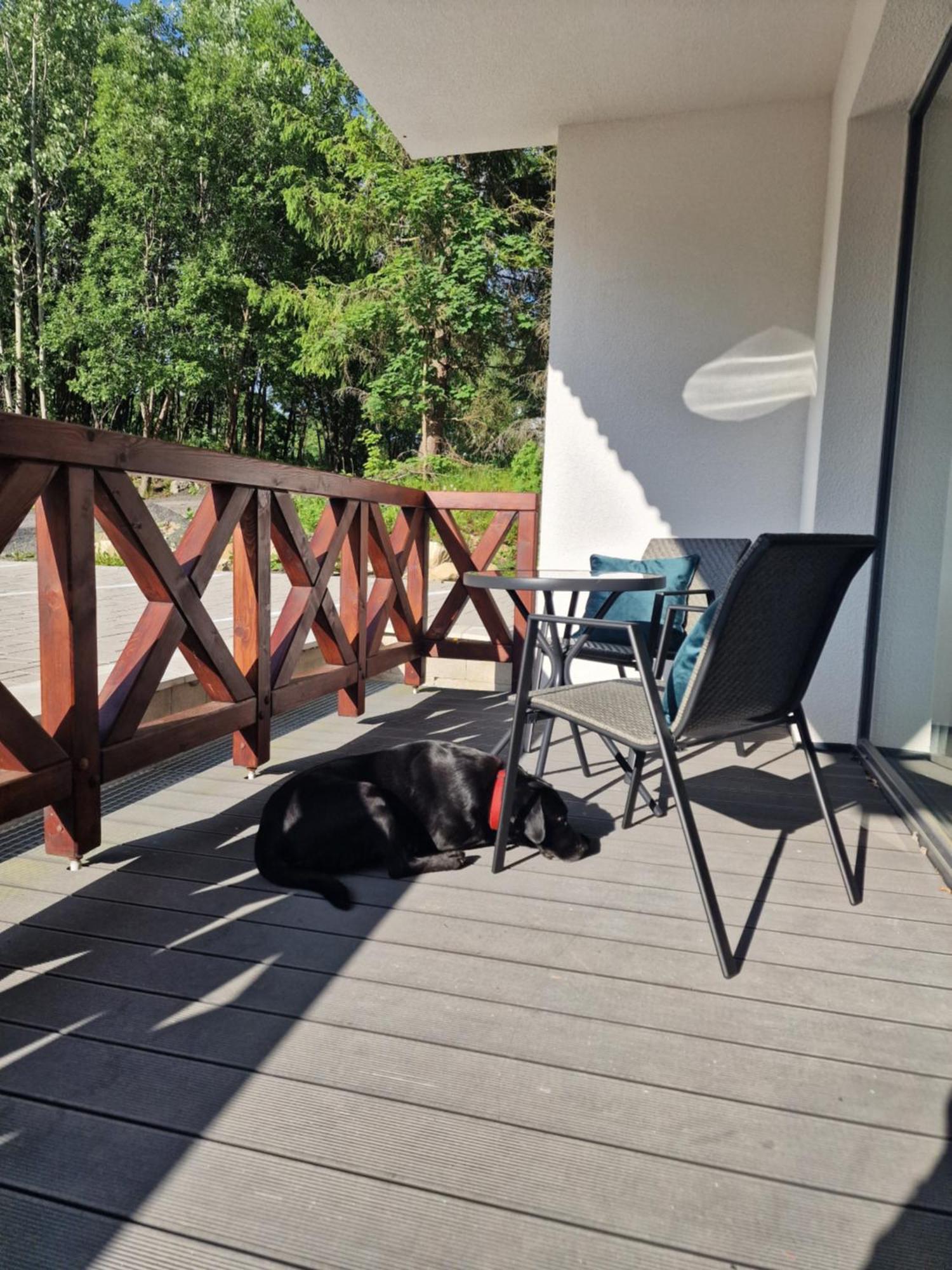 Hellene Snow Stary Smokovec Apartment Vysoke Tatry Exterior photo